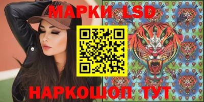 шишки Абакан