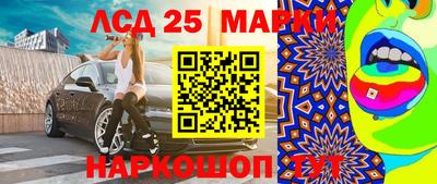 jwh Гатчина