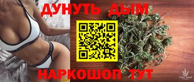 jwh Гатчина