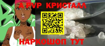 крисы Абакан