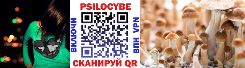 Галлюциногенные грибы Psilocybine cubensis  наркошоп  Азнакаево 