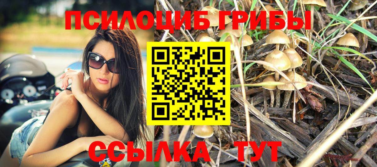 Псилоцибиновые грибы Magic Shrooms Азнакаево