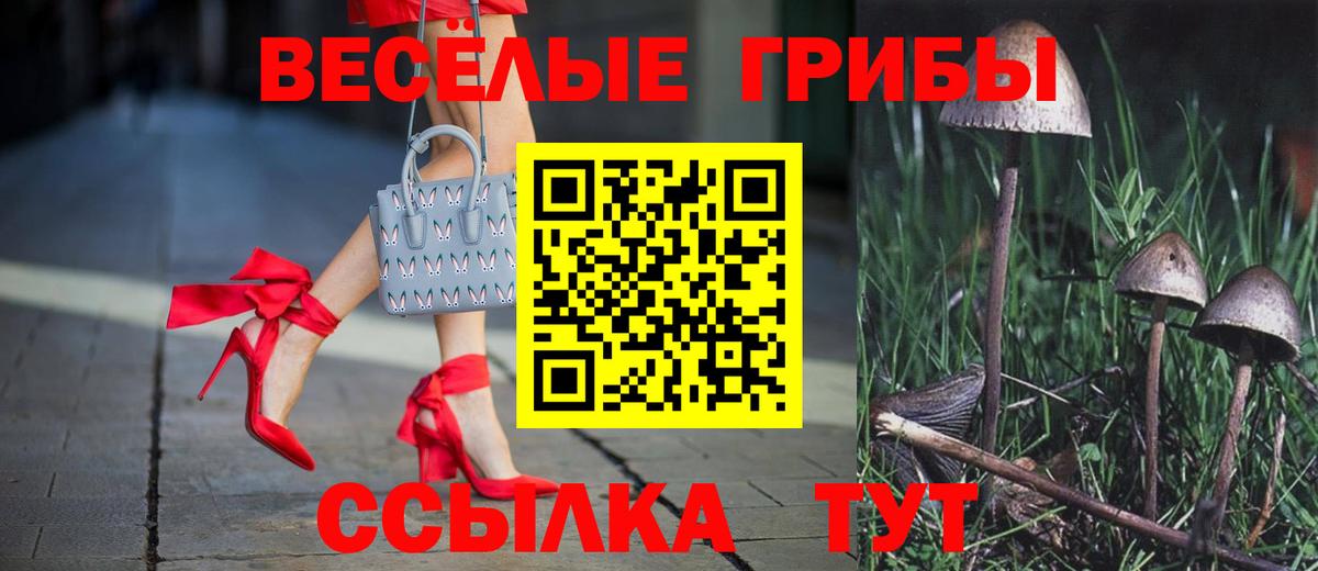 Азнакаево  Псилоцибиновые грибы мицелий  Вход с VPN  Галлюциногенные грибы Cubensis 