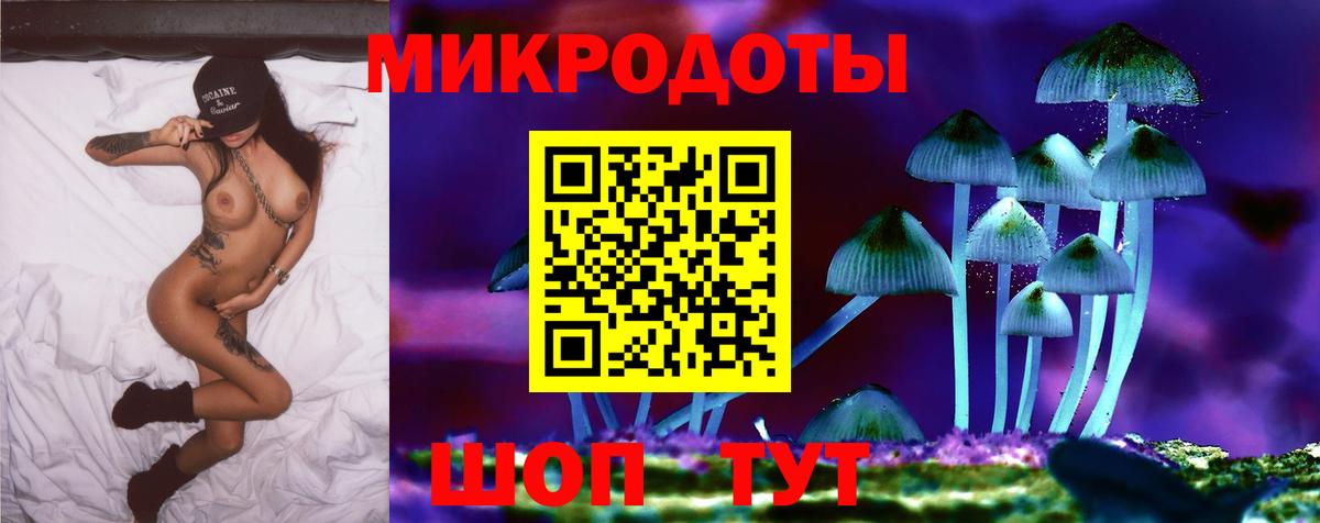наркота  Псилоцибиновые грибы Psilocybine cubensis  Вход с VPN  Азнакаево 