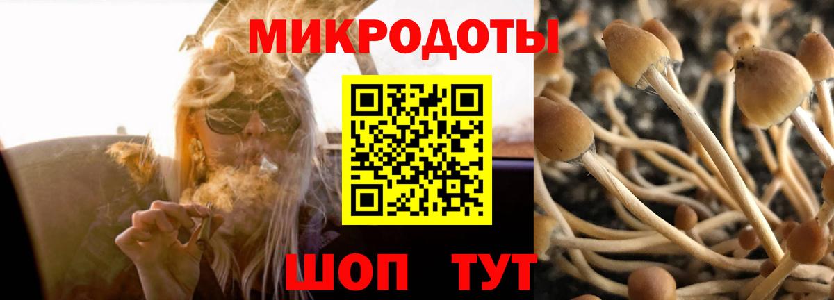 Псилоцибиновые грибы мухоморы Азнакаево